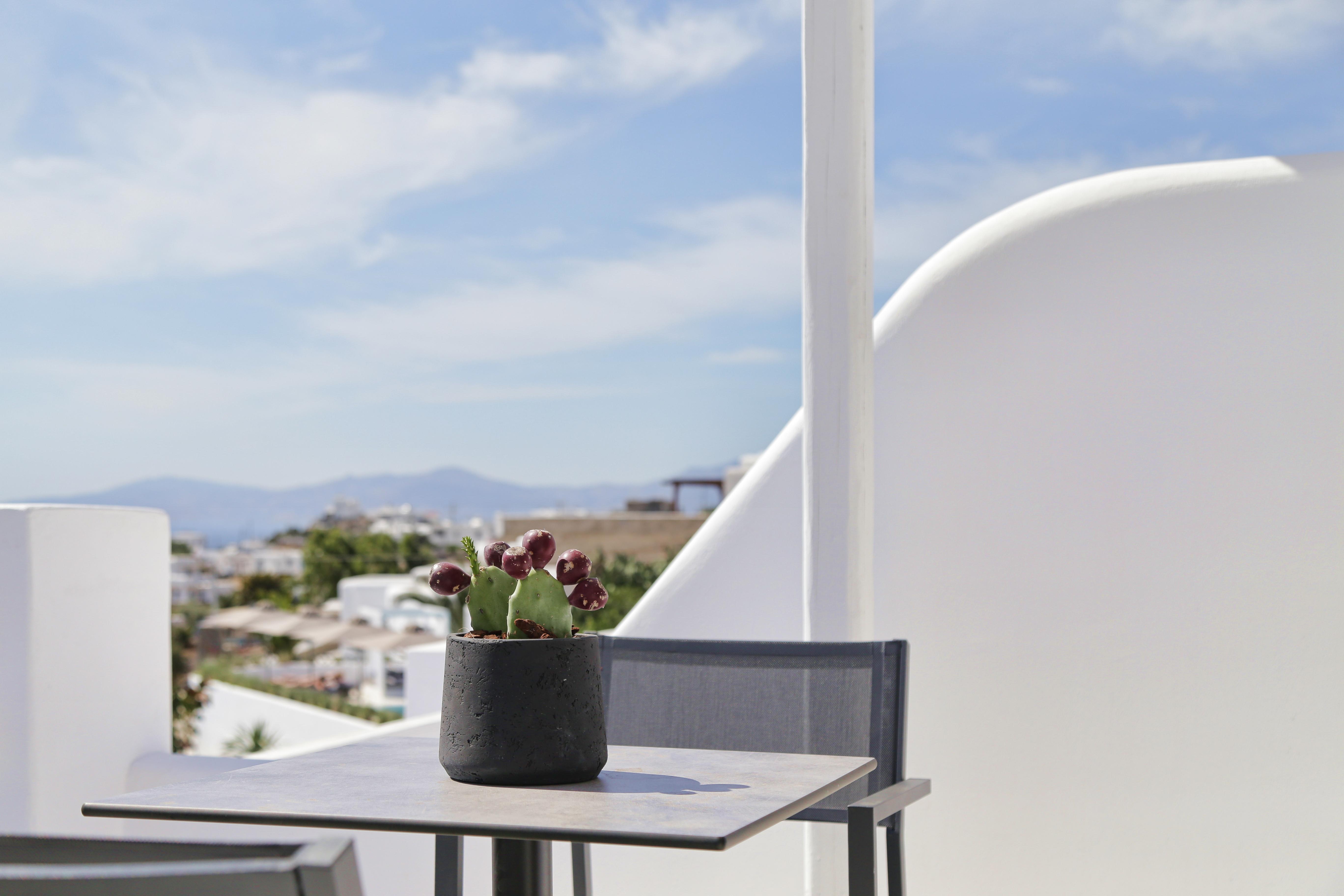 Hotel Livin Mykonos - Adults Only 4*